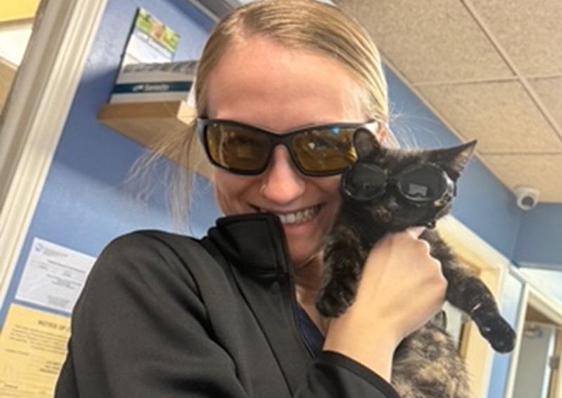 Carousel Slide 3: Reese (Registered Veterinary Technician) with Chloe the kitten right before preforming laser therapy