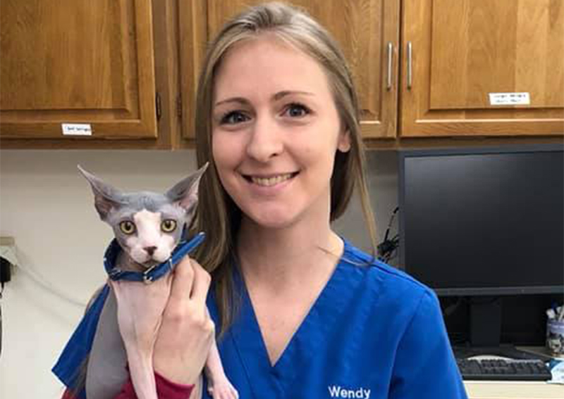 Cat Veterinary Care, Indianapolis
